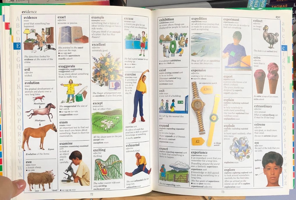 [USED]The Dorling Kindersley Children's Illustrated Dictionary