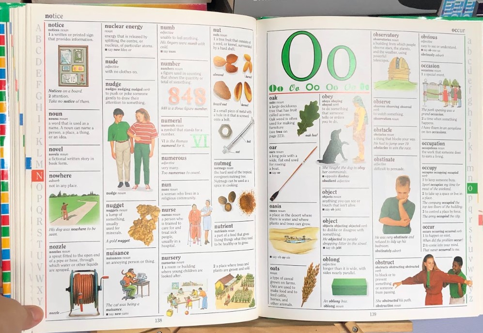 [USED]The Dorling Kindersley Children's Illustrated Dictionary