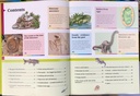 [USED]Fascinating Facts: Dinosaurs