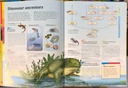 [USED]Fascinating Facts: Dinosaurs