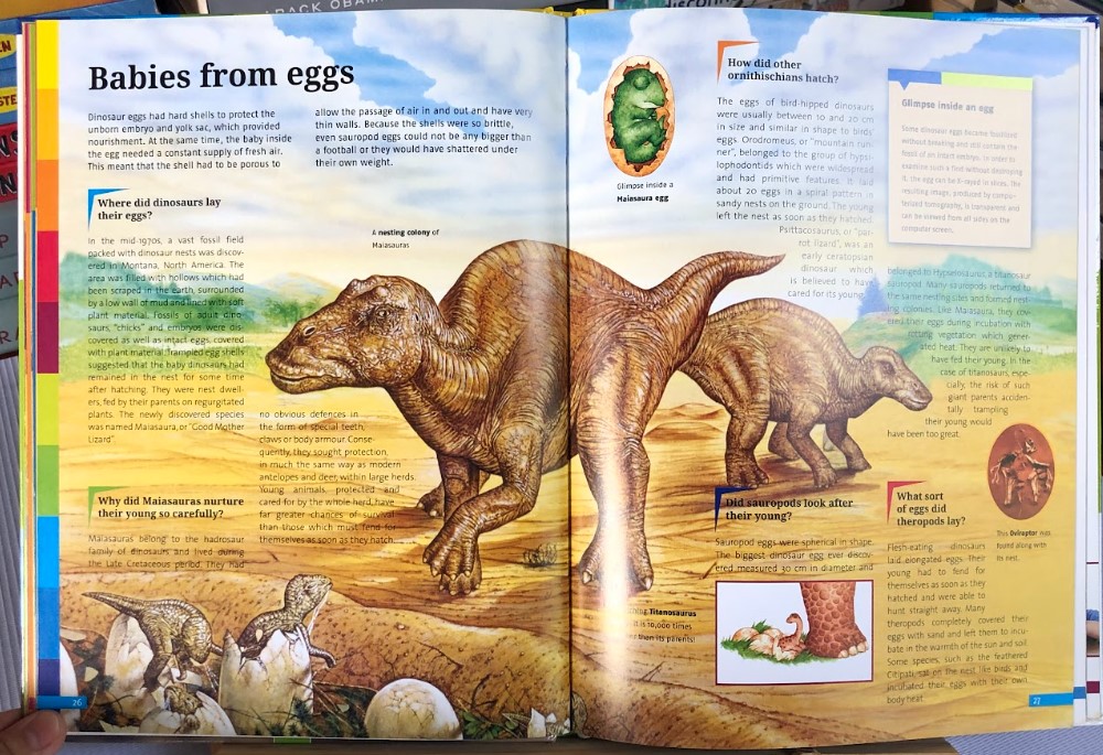 [USED]Fascinating Facts: Dinosaurs