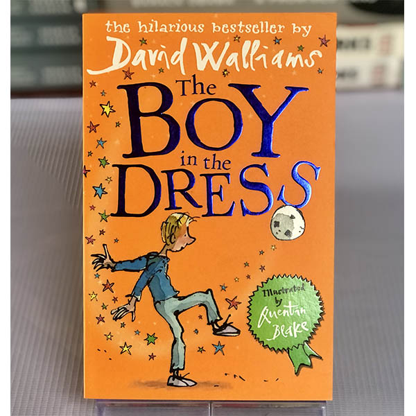 [USED] The Boy in the Dress by David Williams