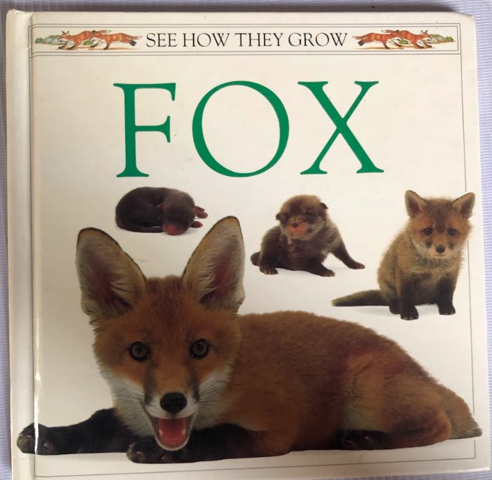 [USED] Fox: See How They Grow