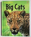 [USED] Usborne Discovery: Big Cats