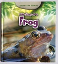 [USED] Animal Life Stories: Life Story of a Frog