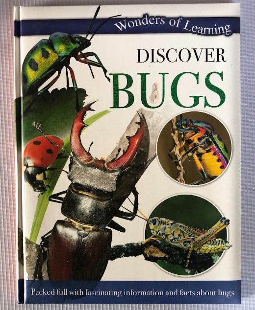 [USED] Discover Bugs