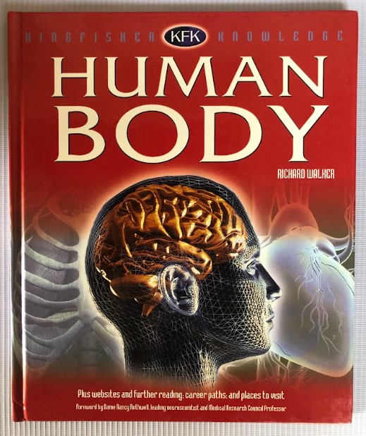 [USED] Kingfisher Knowledge: Human Body