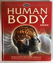 [USED] Kingfisher Knowledge: Human Body