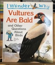 [USED] I Wonder Why: Vultures Are Bald