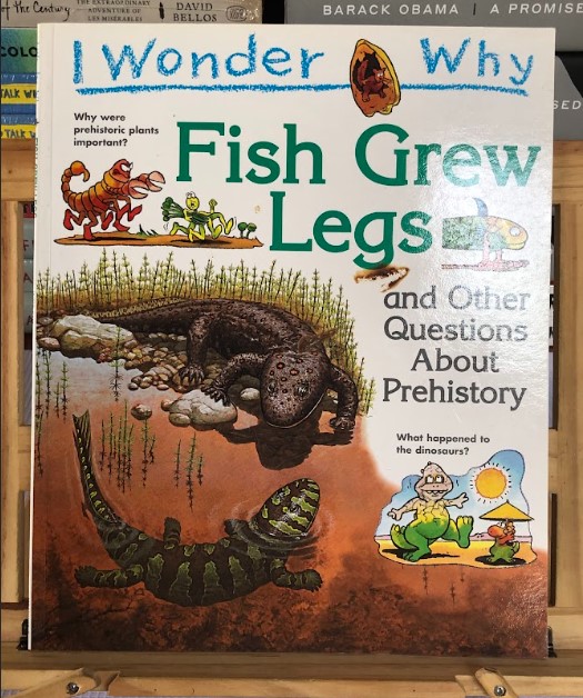 [USED] I Wonder Why: Fish Grew Legs