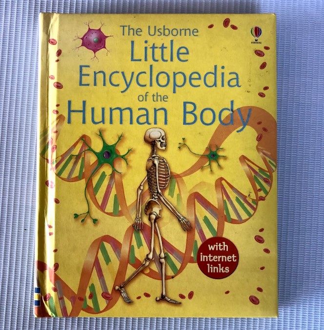 [USED] The Usborne Little Encyclopedia Of The Human Body