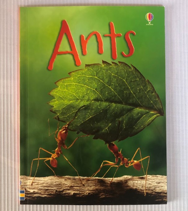 [USED] Usbrone Beginners: Ants