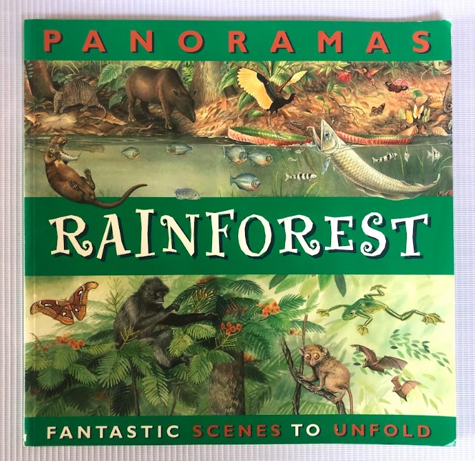 [USED] Panoramas Rainforest