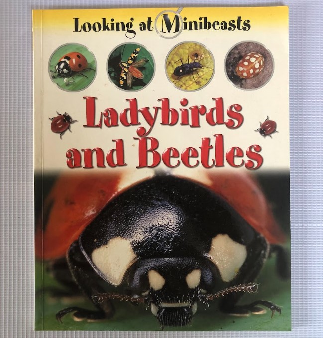 [USED] Looking at Minibeasts: Ladybirds and Beetles