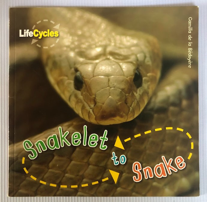 [USED] Life Cycles: Snakelet to Snake