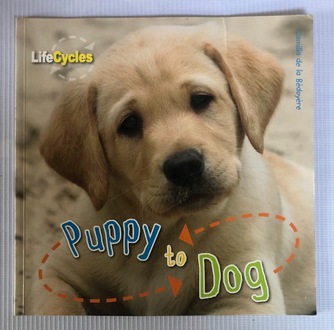 [USED] Life Cycles: Puppy to Dog