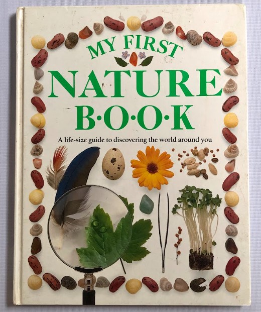 [USED] My First Nature Book: A Life-Size Guide To Discovering The World Around You