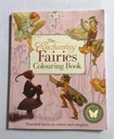 The Enchanting Fairies Colouring Book