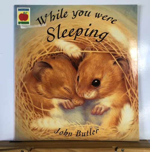 [USED] While You Were Sleeping