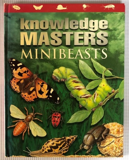 [80064] [USED] Knowledge Masters: Minibeasts