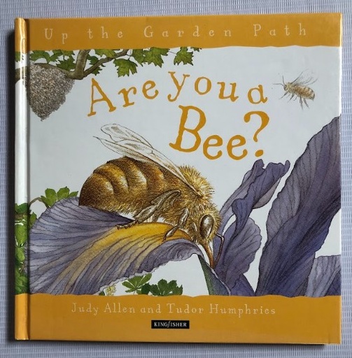 [80103] [USED] Are you a Bee? 