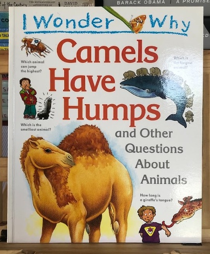 [80150] [USED] I Wonder Why: Camels Have Humps