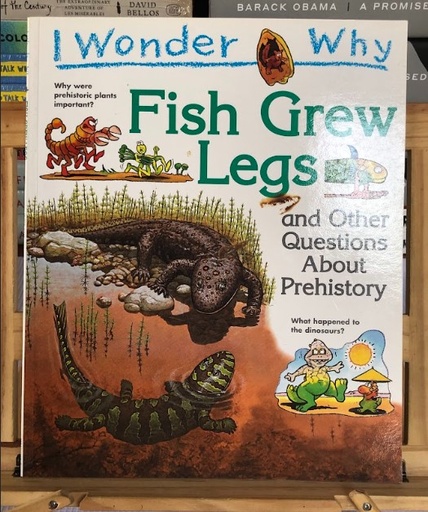 [80153] [USED] I Wonder Why: Fish Grew Legs