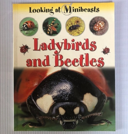 [80262] [USED] Looking at Minibeasts: Ladybirds and Beetles