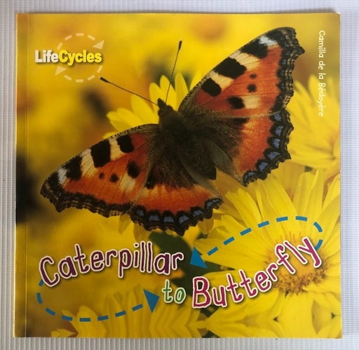 [80270] [USED] Life Cycles: Caterpillar to Butterfly