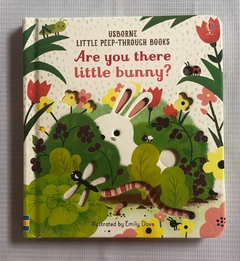 [B0003] [USED] Are You There Little Bunny?